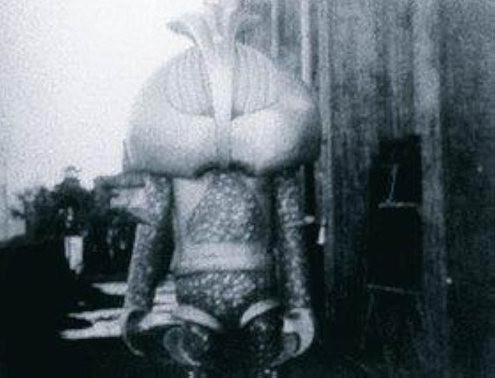 空飛ぶ円盤恐怖の襲撃の画像