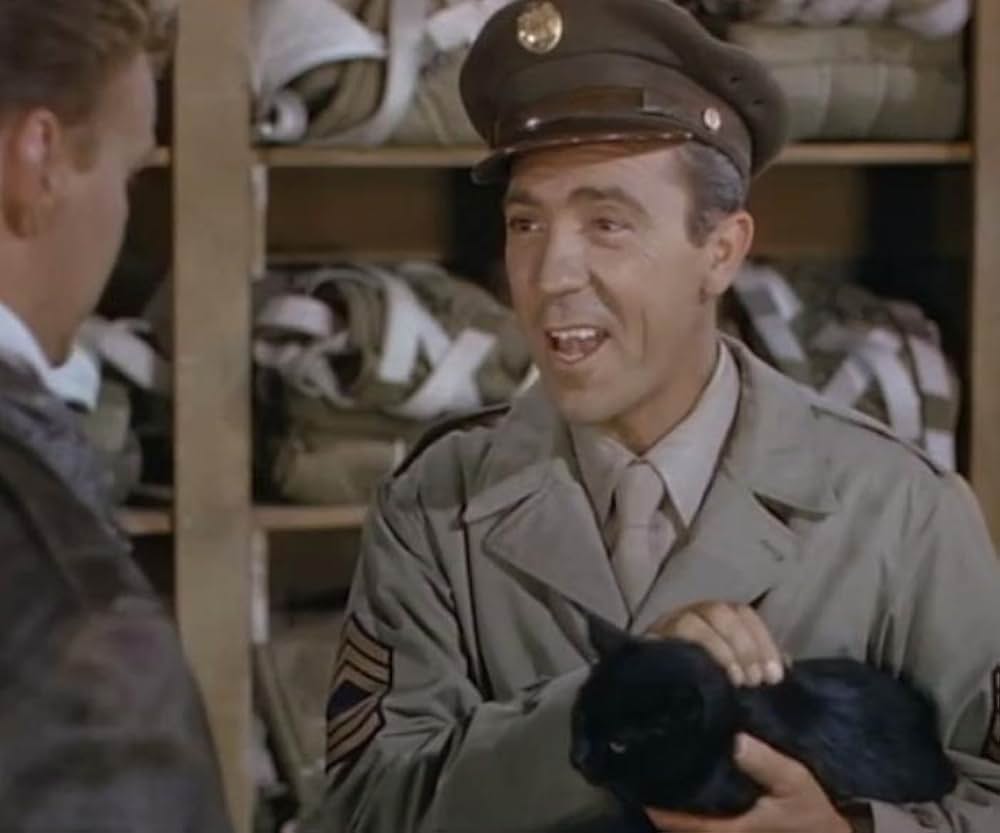 特攻戦闘機中隊の画像