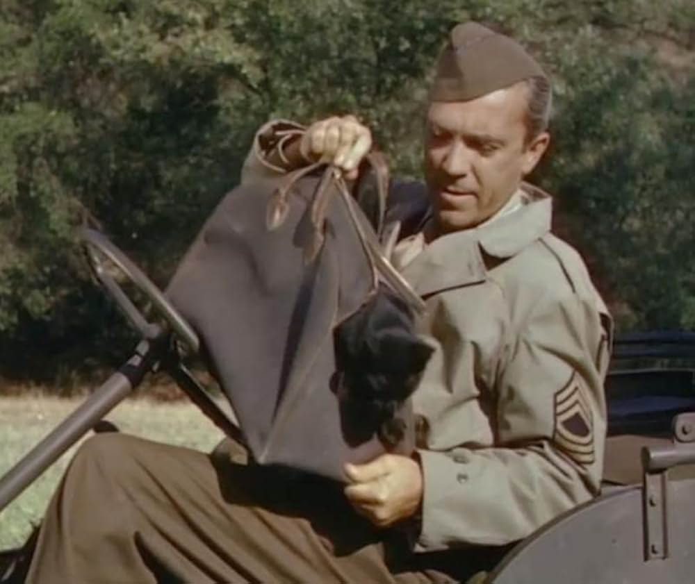 特攻戦闘機中隊の画像