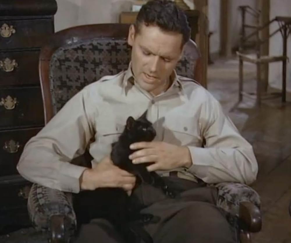 特攻戦闘機中隊の画像