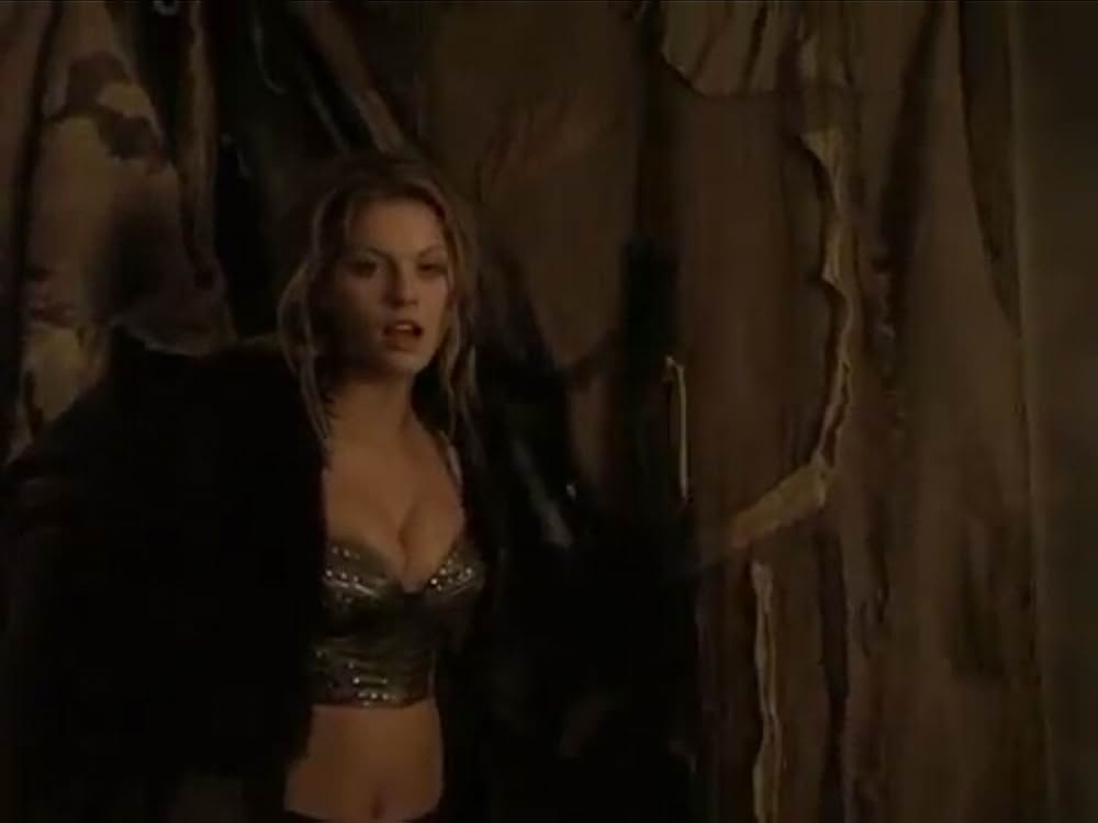 ザ・グラディエーター 復讐のコロシアム／アマゾネス・グラディエーターの画像