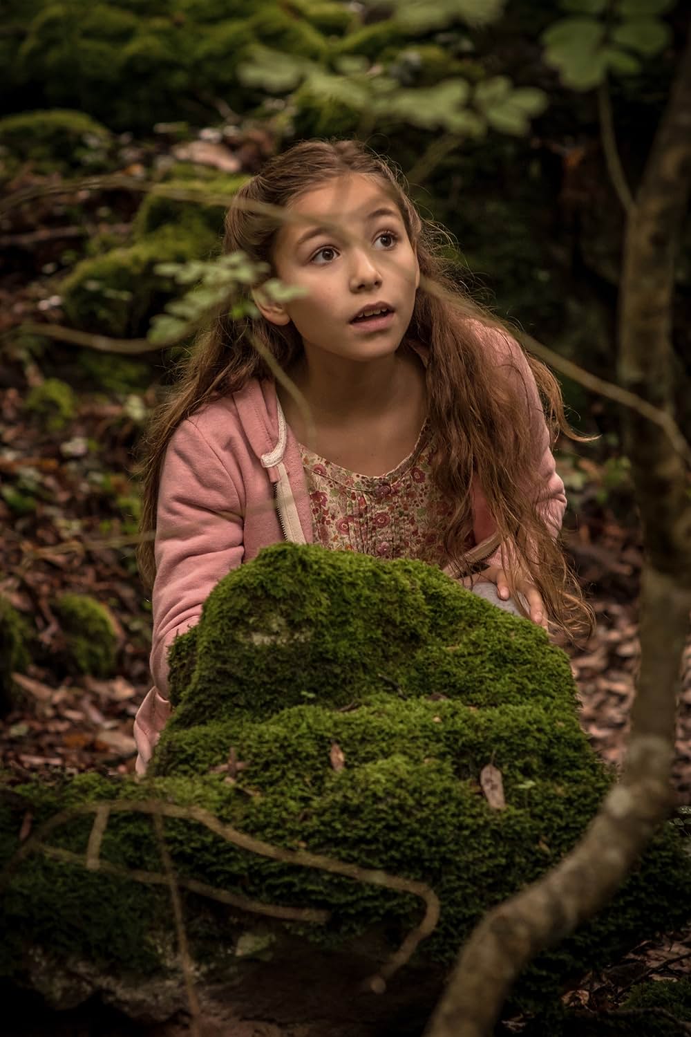 ヴィオレットと不思議な森の画像