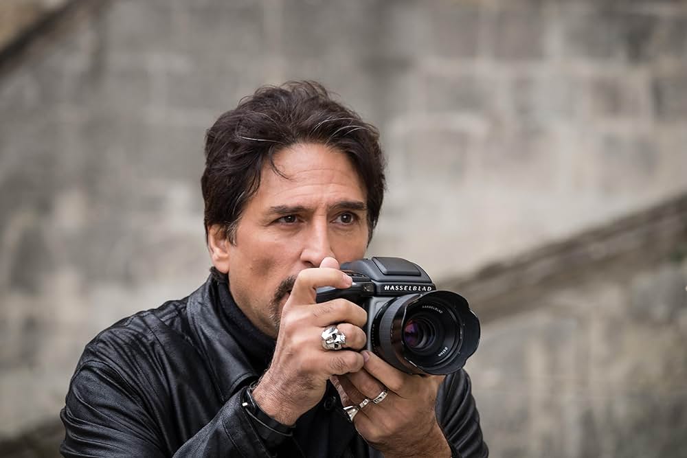 ヴィオレットと不思議な森の画像