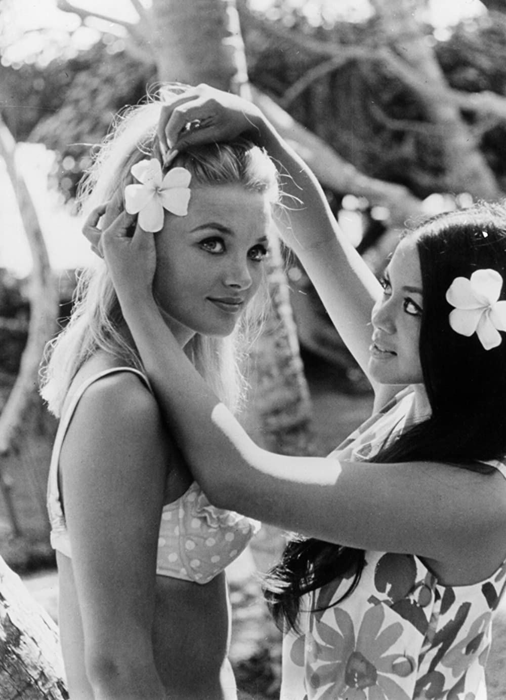 危険な道の画像