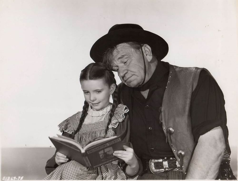 悪漢バスコムの画像