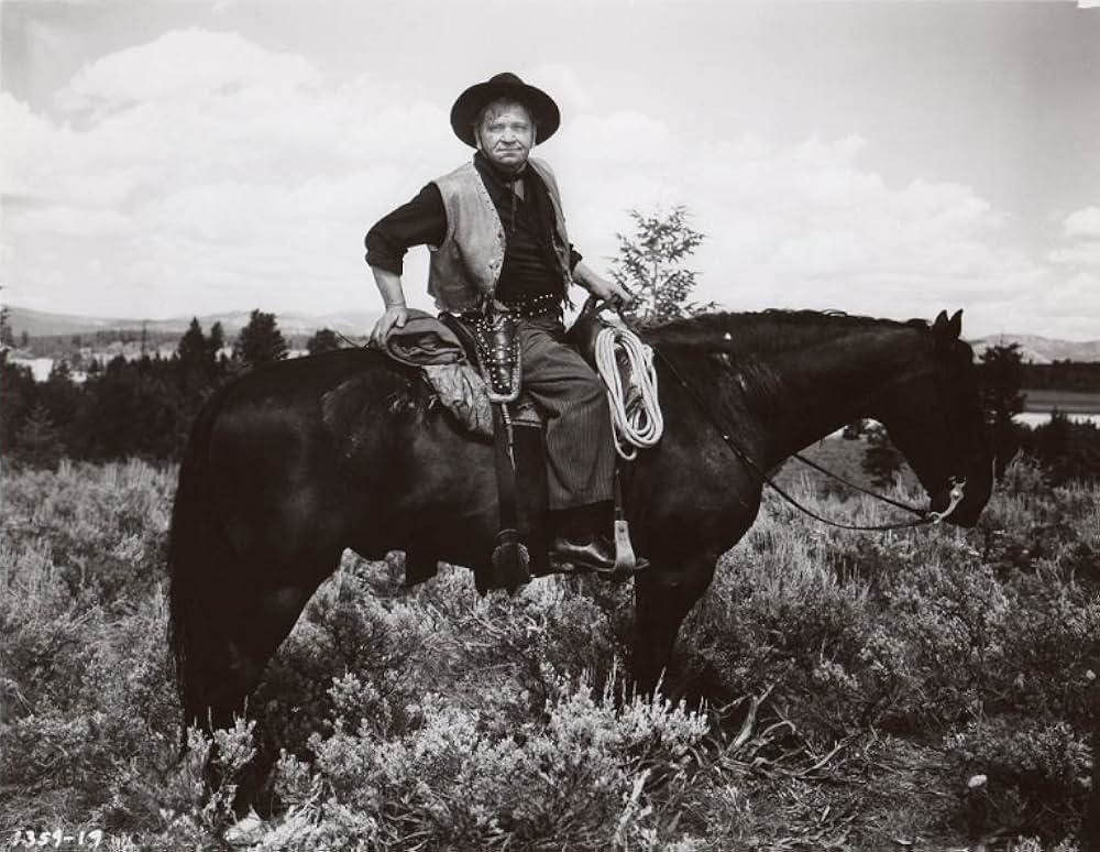 悪漢バスコムの画像