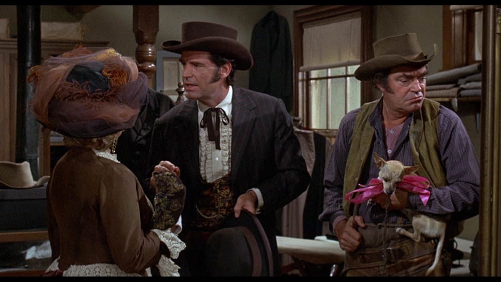 地平線から来た男の画像