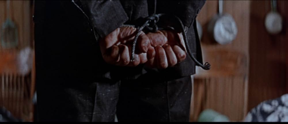 グランド・キャニオンの対決の画像