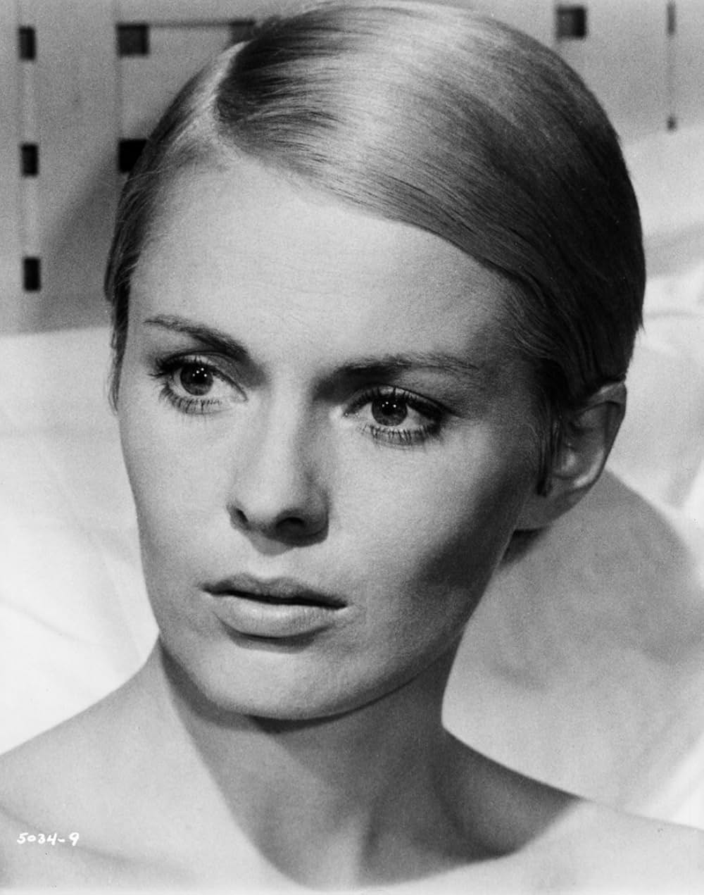 ペルーの鳥の画像