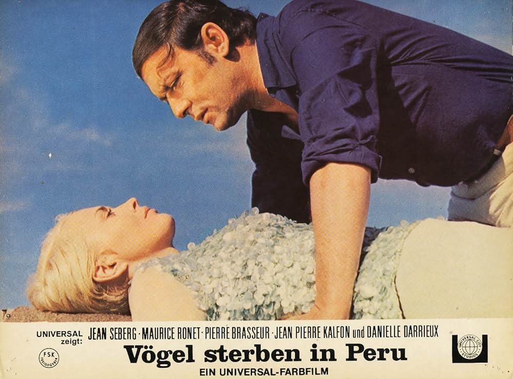 ペルーの鳥の画像