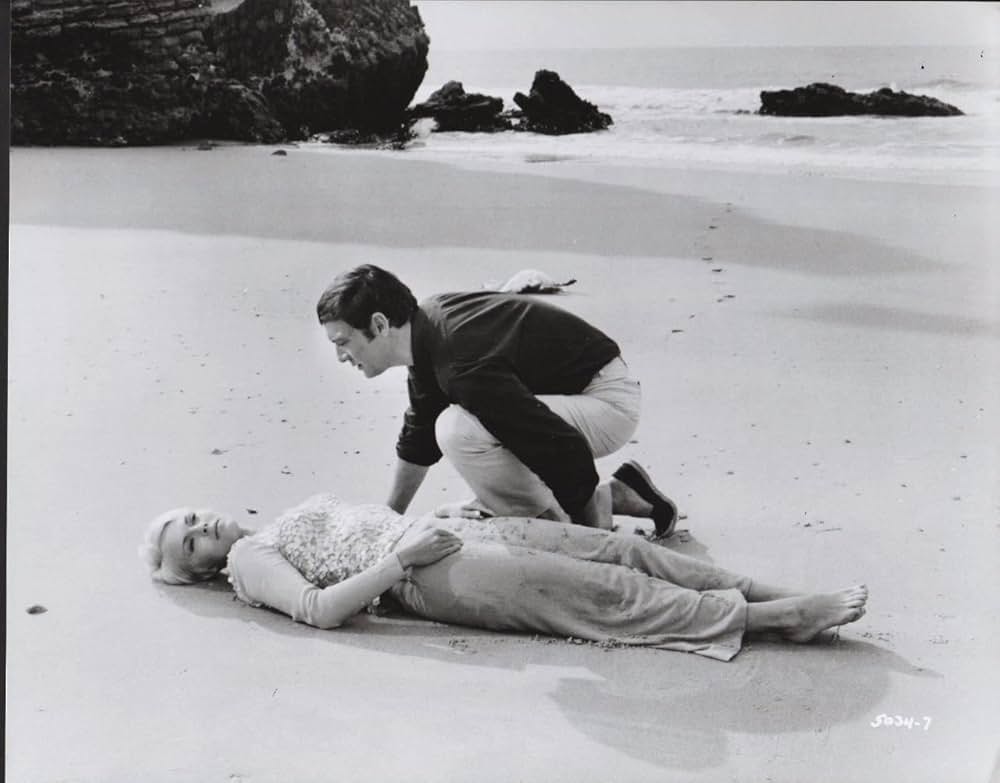 ペルーの鳥の画像