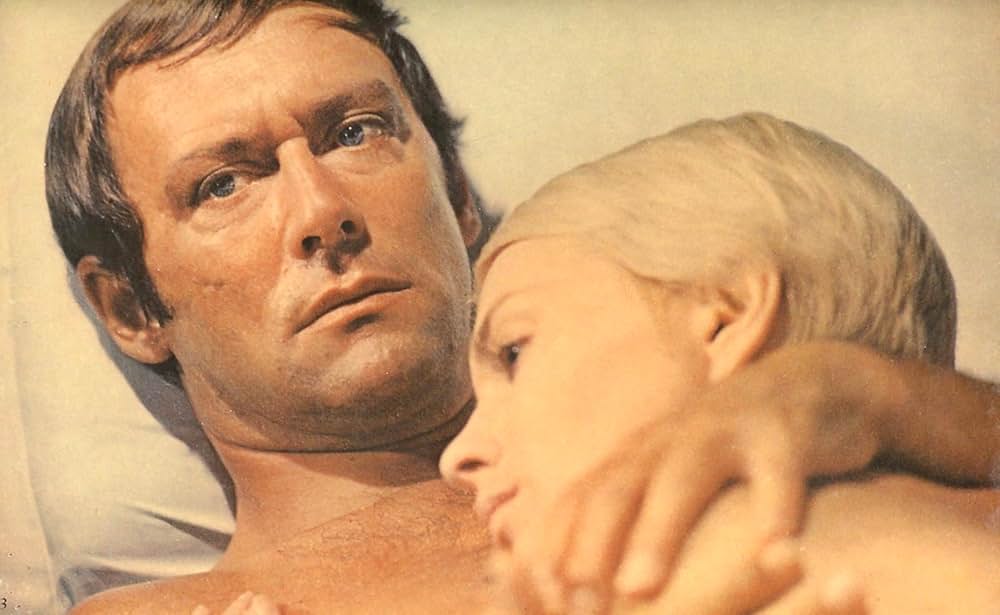 ペルーの鳥の画像