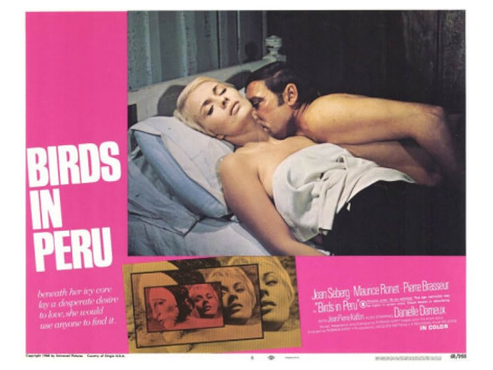 ペルーの鳥の画像