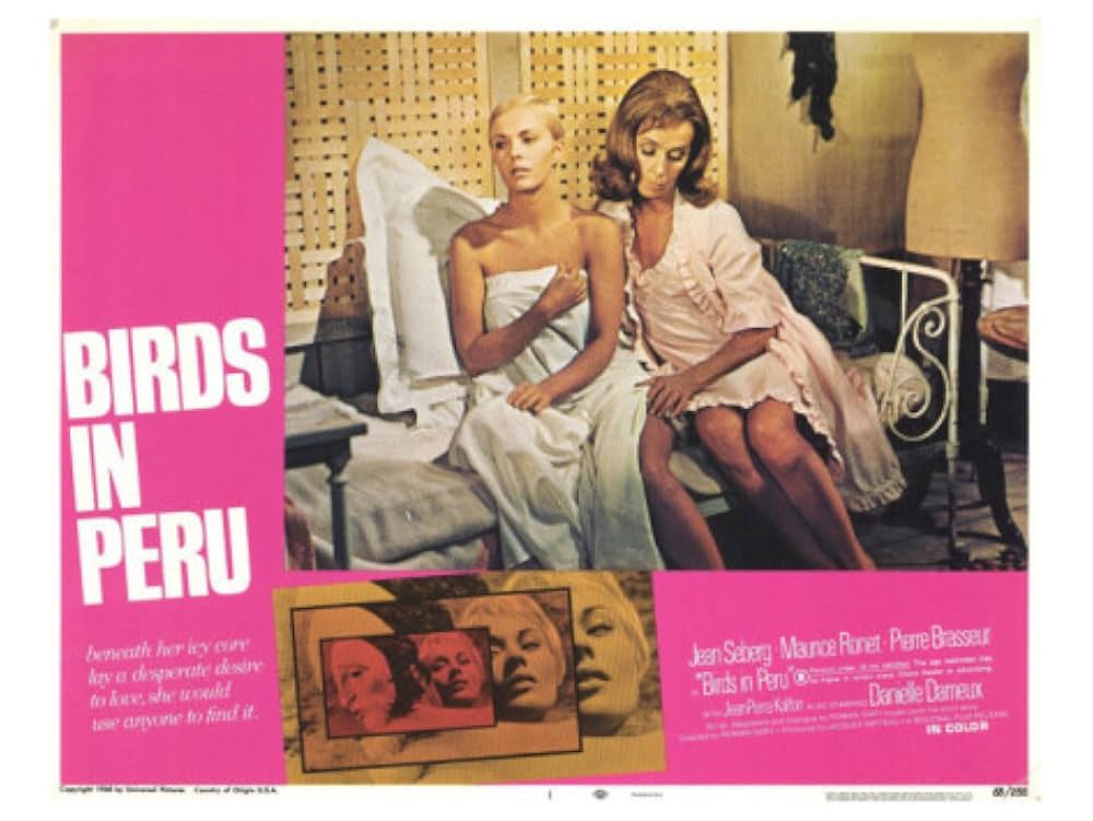 ペルーの鳥の画像