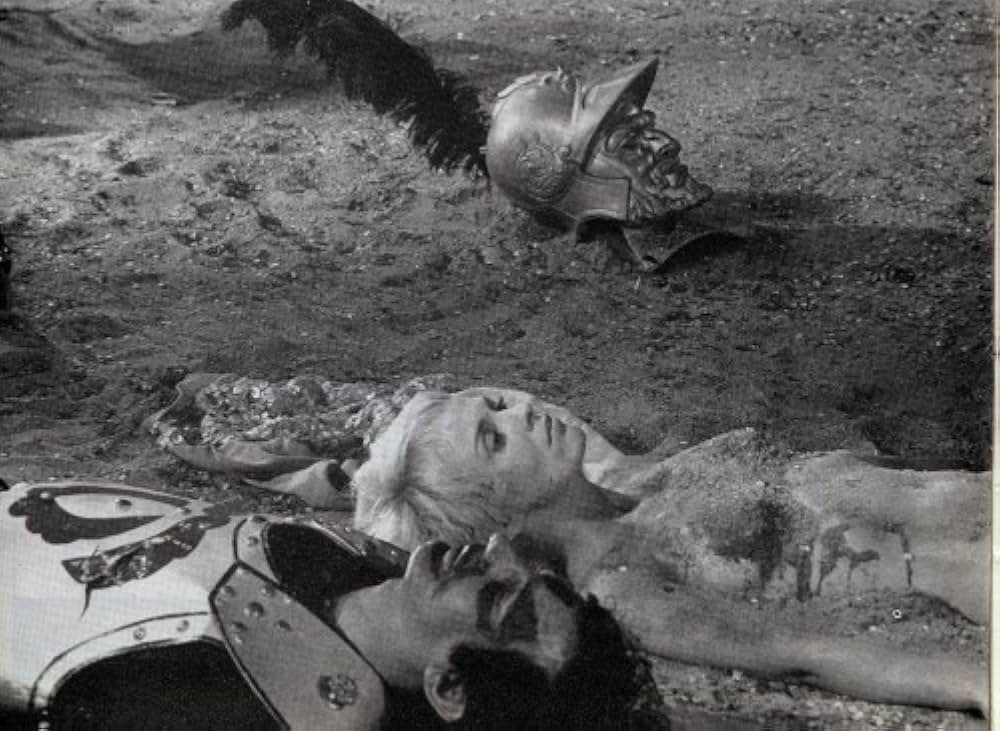 ペルーの鳥の画像