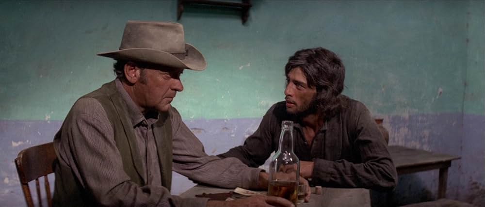 復讐の荒野の画像