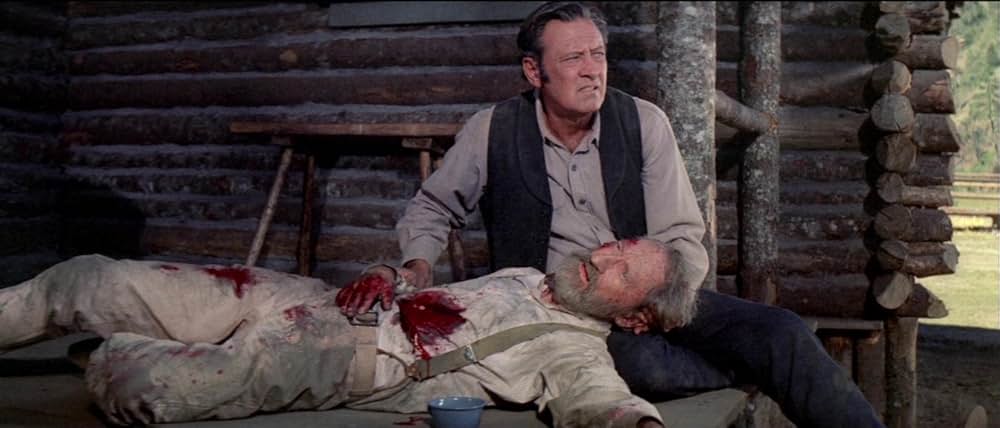 復讐の荒野の画像