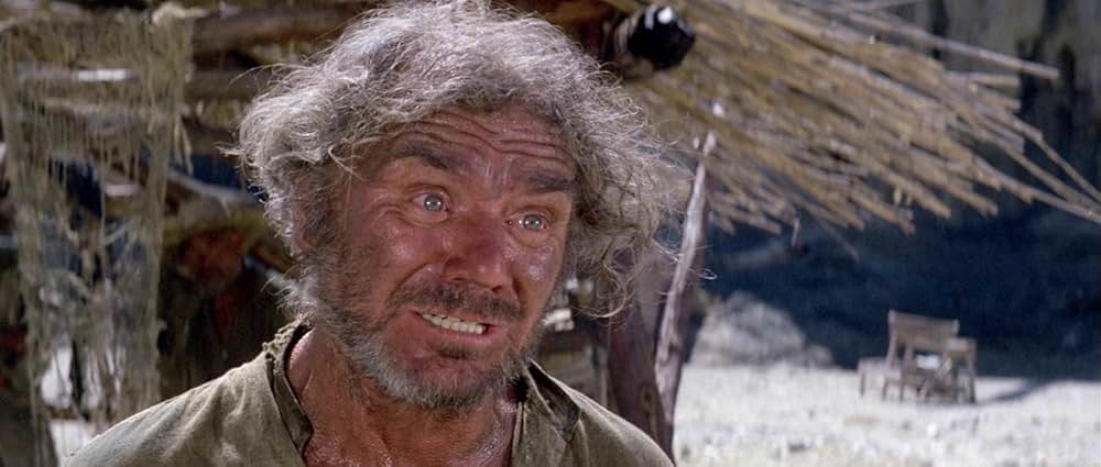 復讐の荒野の画像