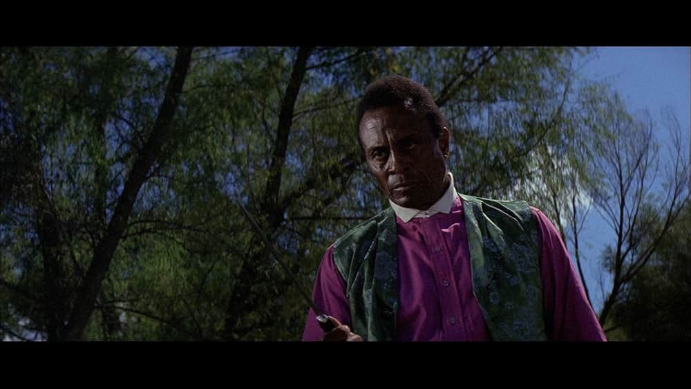 復讐の荒野の写真