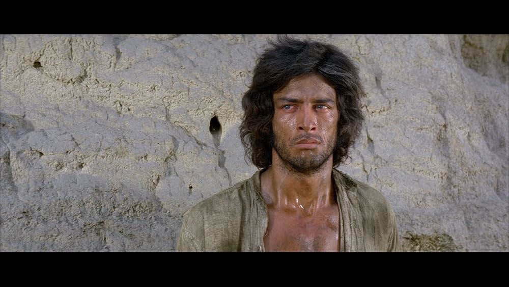 復讐の荒野の画像