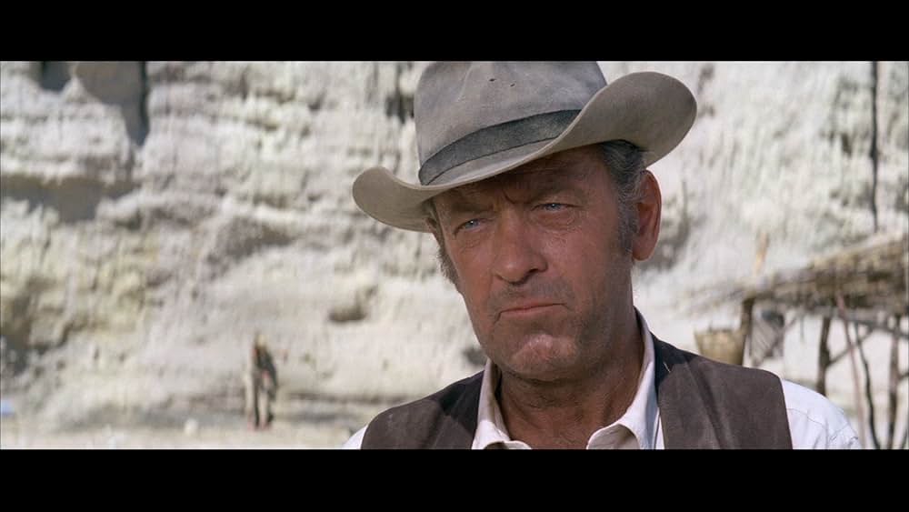 復讐の荒野の画像