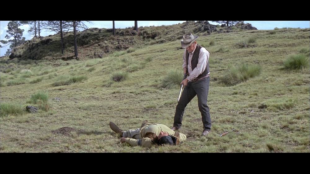 復讐の荒野の画像