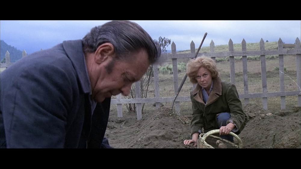 復讐の荒野の画像