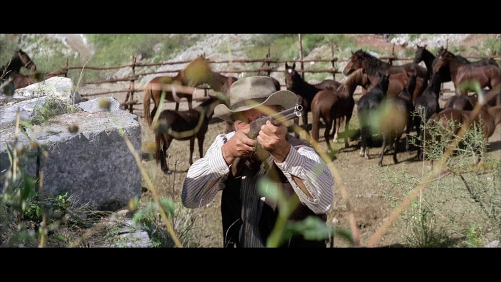 復讐の荒野の画像