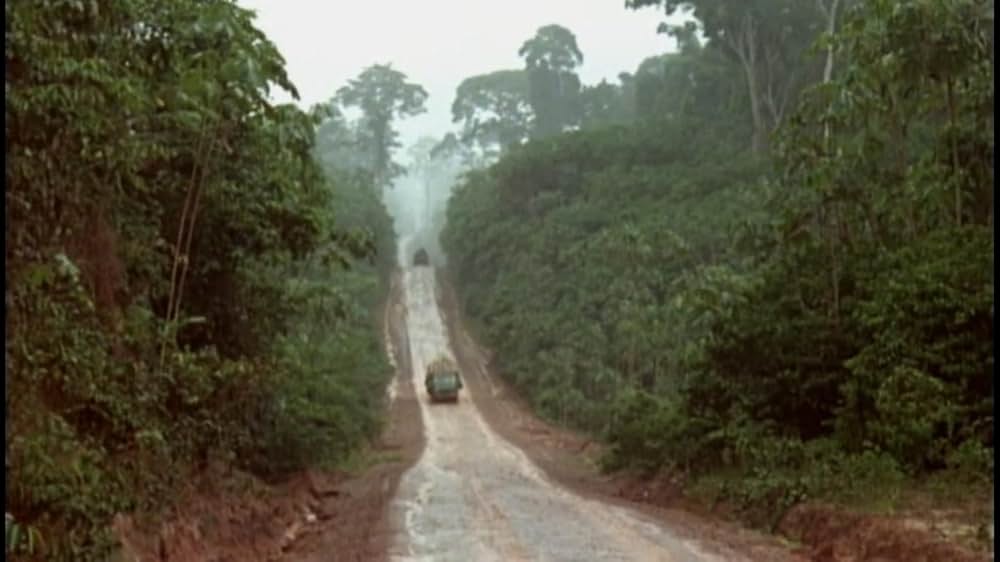 バイバイ・ブラジルの画像