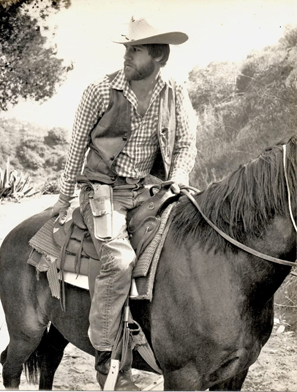 大列車強盗の画像