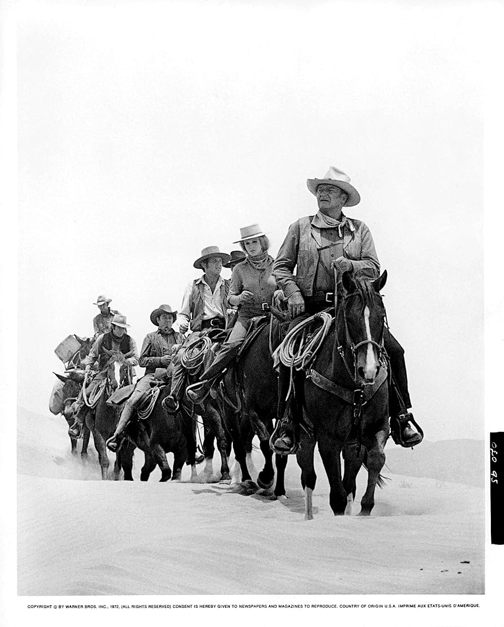 大列車強盗の画像