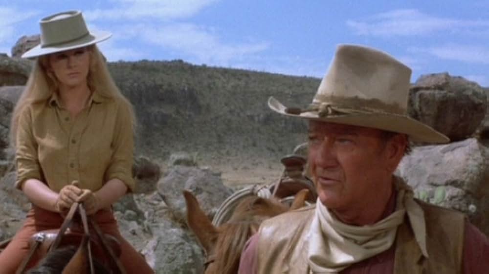 大列車強盗の画像