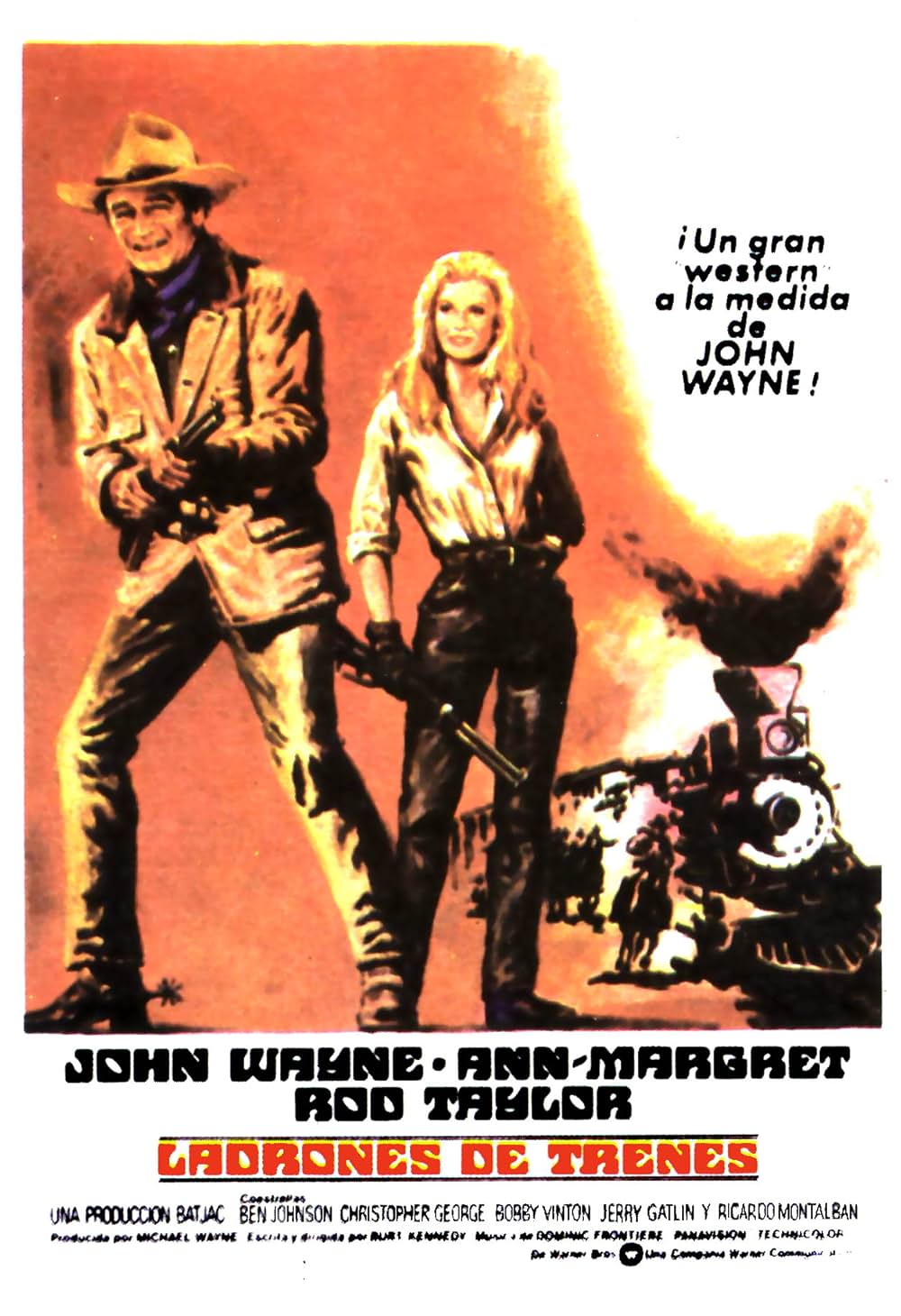 大列車強盗の画像