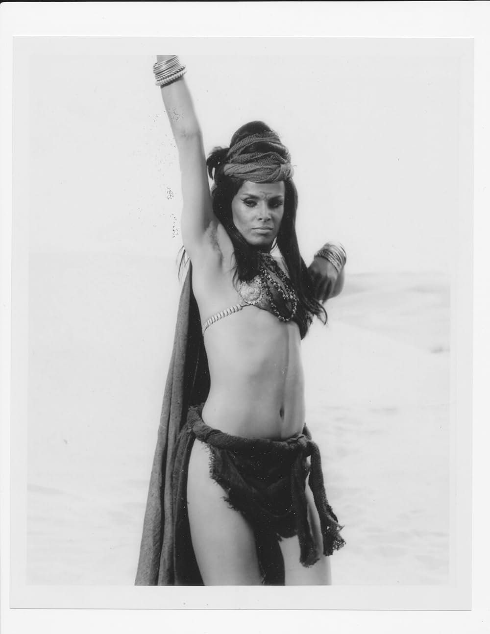 飛べ！フェニックスの画像