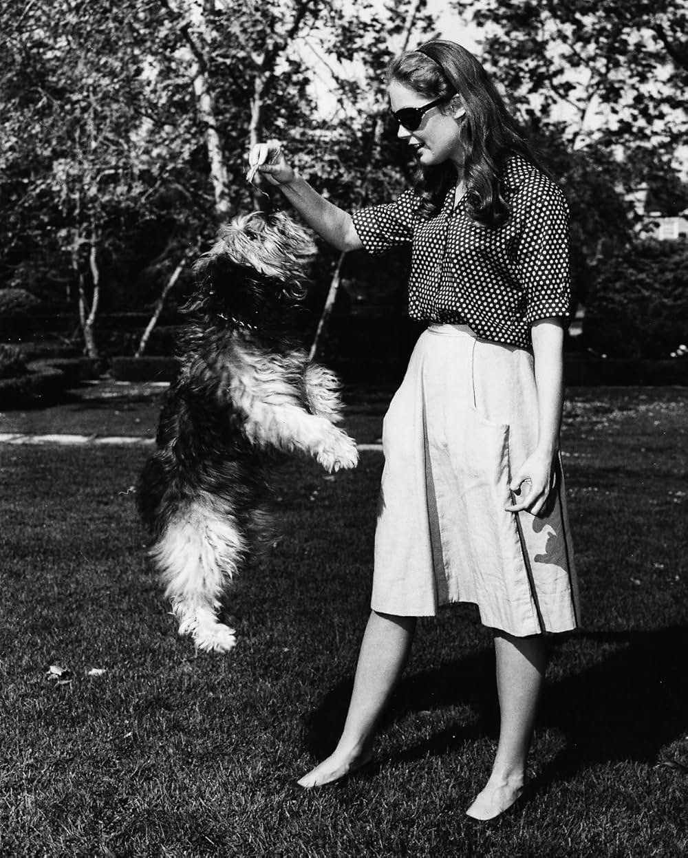 いつか見た青い空の画像