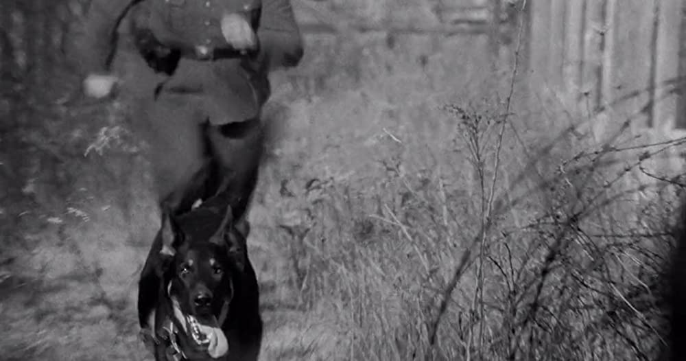 「質屋」の画像