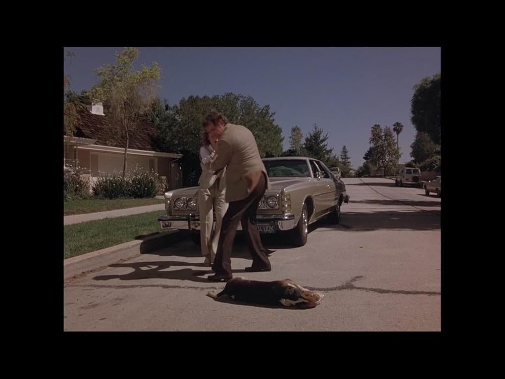 地獄の犬 地獄の使者デビル・ドッグの画像