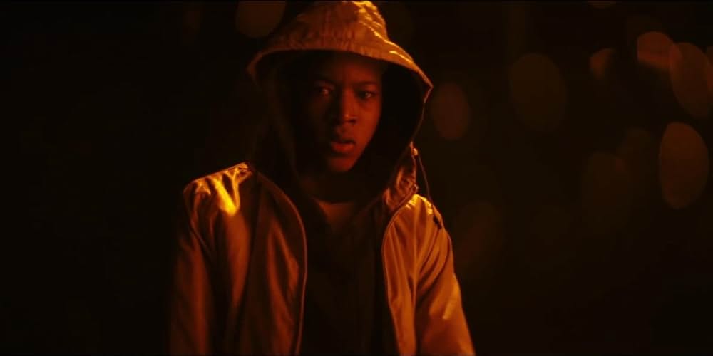 ブラックシープの画像