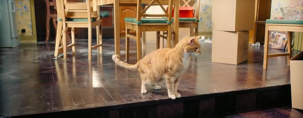 エルフと不思議な猫の画像