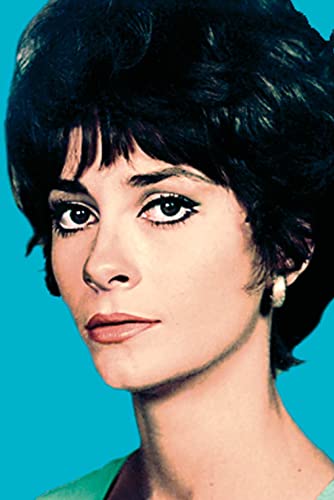 愚か者の船の画像