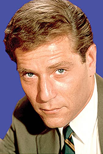 愚か者の船の画像