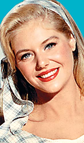 愚か者の船の画像