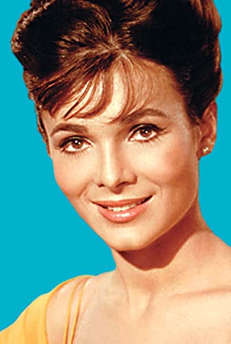 愚か者の船の画像