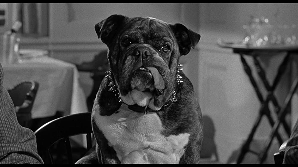 愚か者の船の画像