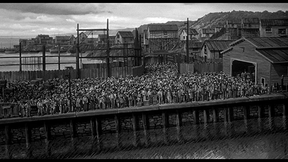 愚か者の船の画像