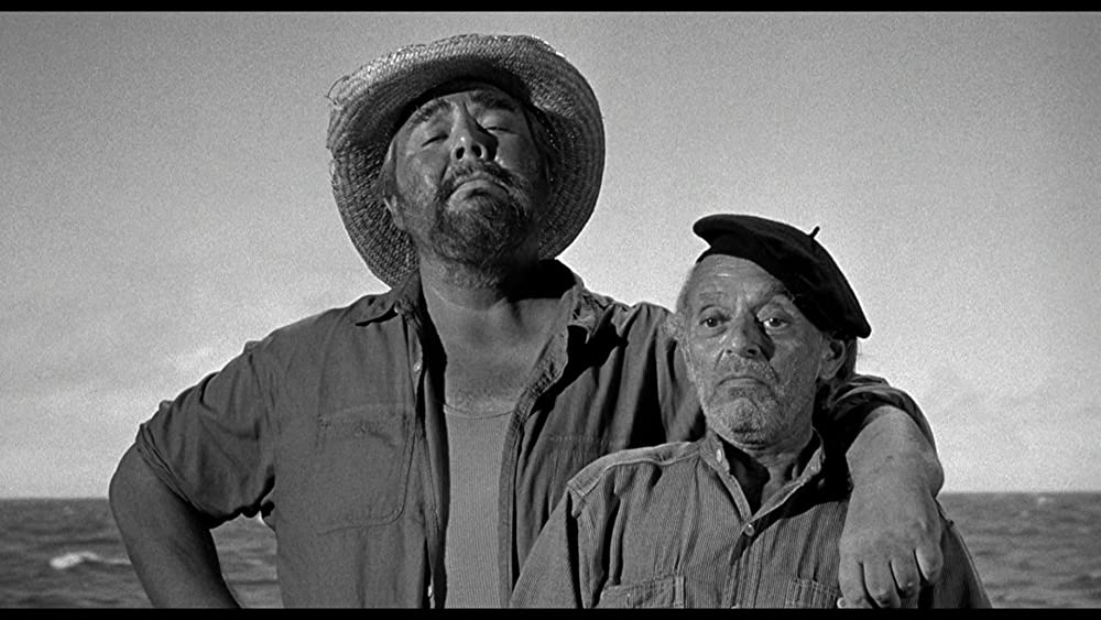 愚か者の船の画像