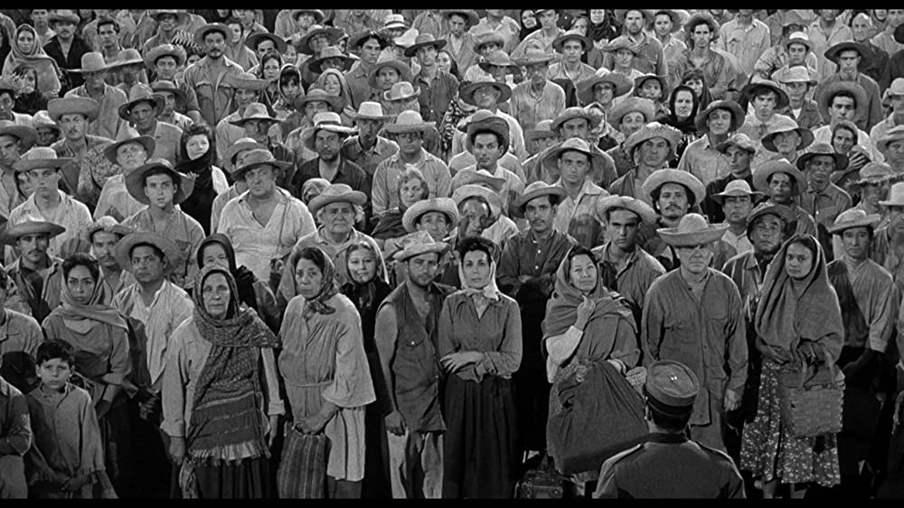 愚か者の船の画像