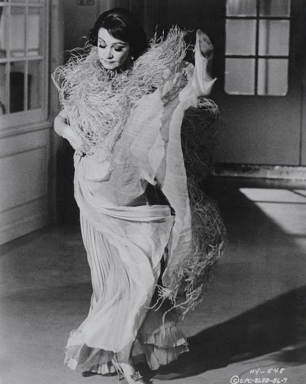 愚か者の船の画像