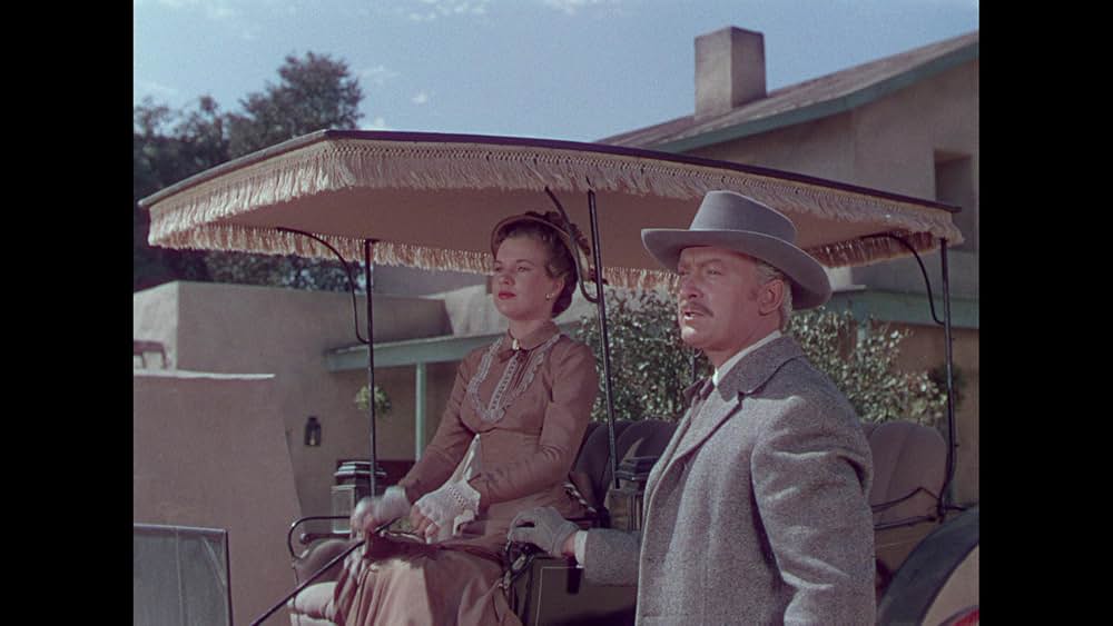 テキサスから来た男の画像