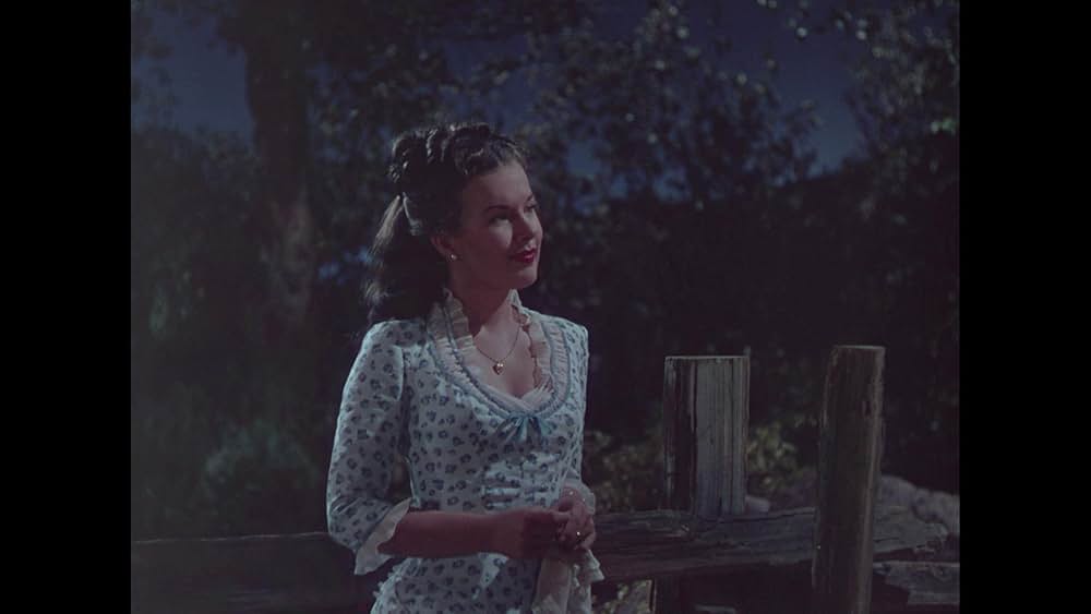 テキサスから来た男の画像